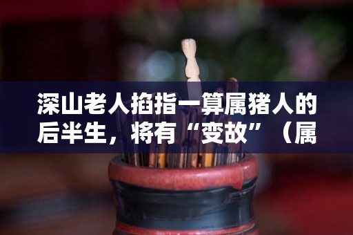 深山老人掐指一算属猪人的后半生，将有“变故”（属猪的人老年生活怎么样）