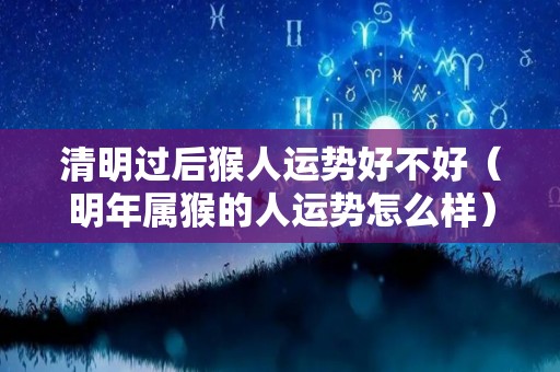 清明过后猴人运势好不好（明年属猴的人运势怎么样）