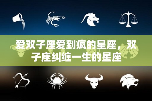 爱双子座爱到疯的星座，双子座纠缠一生的星座