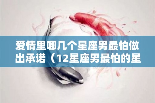爱情里哪几个星座男最怕做出承诺（12星座男最怕的星座女）