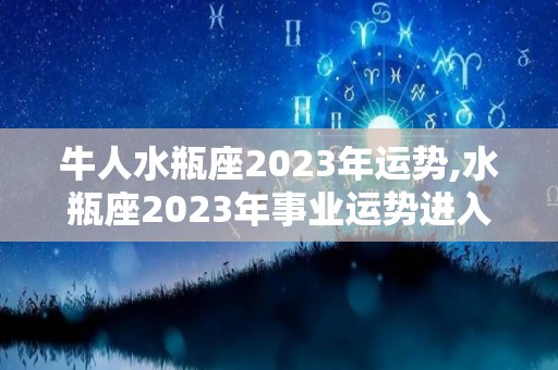 牛人水瓶座2023年运势,水瓶座2023年事业运势进入2023年，工作方面可能会面临挑战