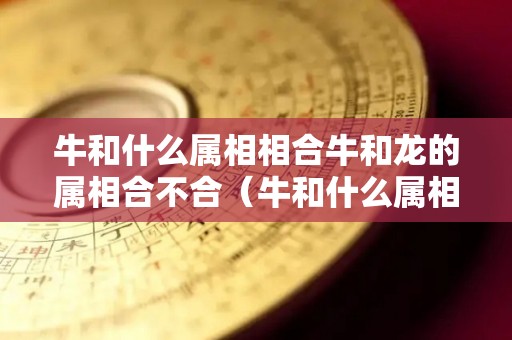 牛和什么属相相合牛和龙的属相合不合（牛和什么属相相合牛和龙的属相合不合财）