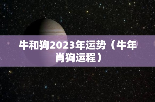 牛和狗2023年运势（牛年肖狗运程）
