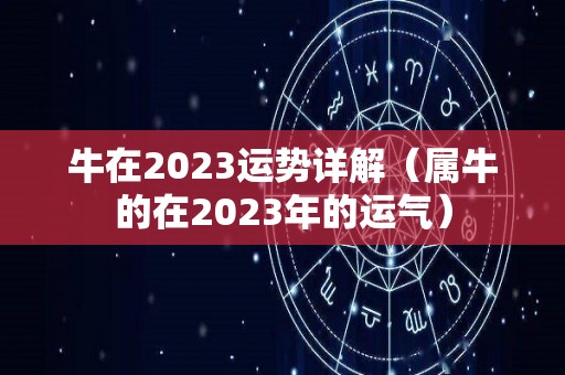 牛在2023运势详解（属牛的在2023年的运气）