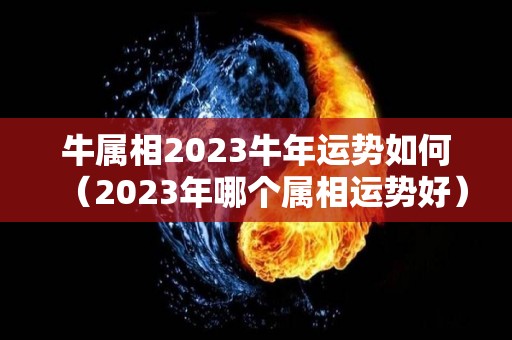 牛属相2023牛年运势如何（2023年哪个属相运势好）