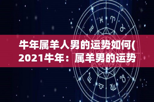 牛年属羊人男的运势如何(2021牛年：属羊男的运势如何？)