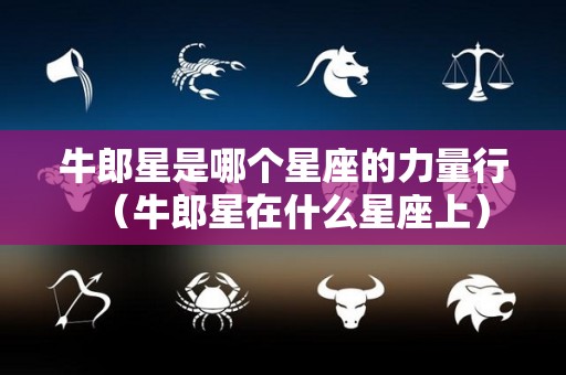 牛郎星是哪个星座的力量行（牛郎星在什么星座上）
