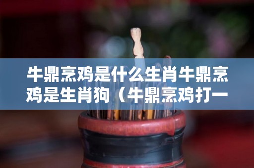 牛鼎烹鸡是什么生肖牛鼎烹鸡是生肖狗（牛鼎烹鸡打一数字）
