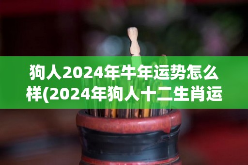 狗人2024年牛年运势怎么样(2024年狗人十二生肖运势解析)