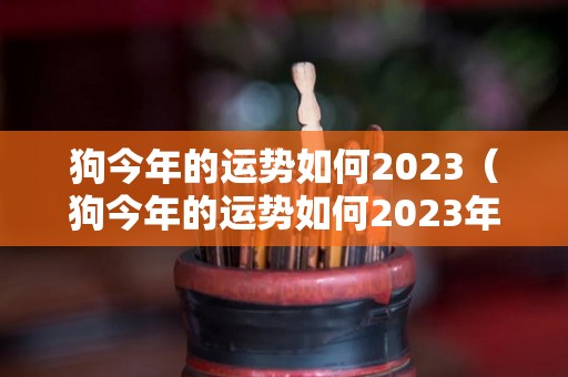 狗今年的运势如何2023（狗今年的运势如何2023年）