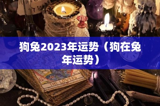 狗兔2023年运势（狗在兔年运势）