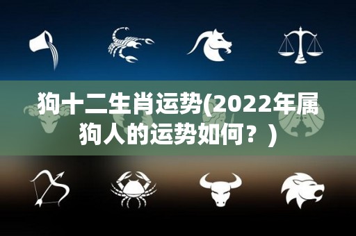 狗十二生肖运势(2022年属狗人的运势如何？)