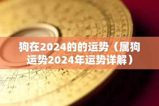 狗在2024的的运势（属狗运势2024年运势详解）