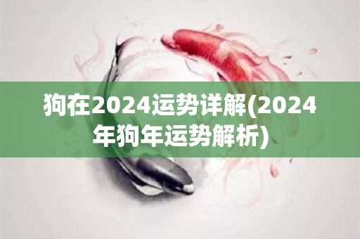 狗在2024运势详解(2024年狗年运势解析)