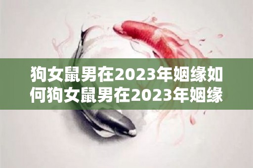 狗女鼠男在2023年姻缘如何狗女鼠男在2023年姻缘好吗（狗女鼠男能过长久吗）