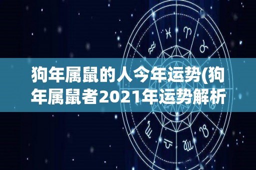 狗年属鼠的人今年运势(狗年属鼠者2021年运势解析)