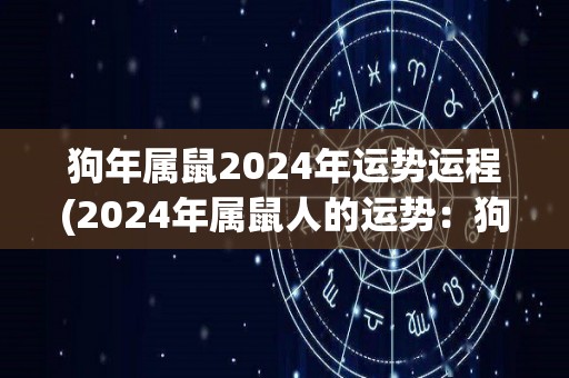 狗年属鼠2024年运势运程(2024年属鼠人的运势：狗年飞速发展，财运亨通。)