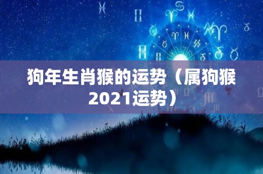 狗年生肖猴的运势（属狗猴2021运势）