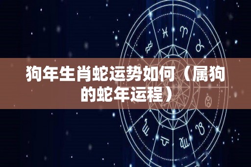狗年生肖蛇运势如何（属狗的蛇年运程）