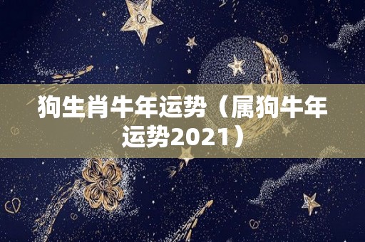 狗生肖牛年运势（属狗牛年运势2021）