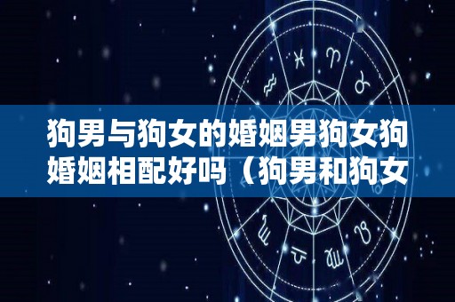 狗男与狗女的婚姻男狗女狗婚姻相配好吗（狗男和狗女婚配）