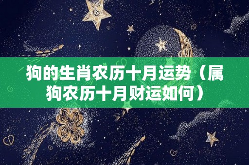 狗的生肖农历十月运势（属狗农历十月财运如何）