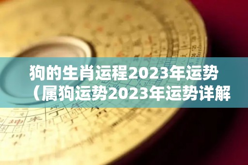 狗的生肖运程2023年运势（属狗运势2023年运势详解）
