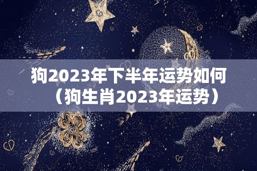 狗2023年下半年运势如何（狗生肖2023年运势）
