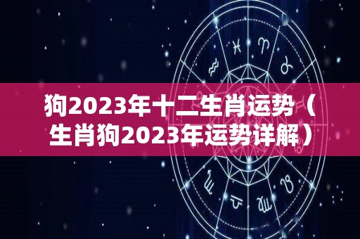 狗2023年十二生肖运势（生肖狗2023年运势详解）