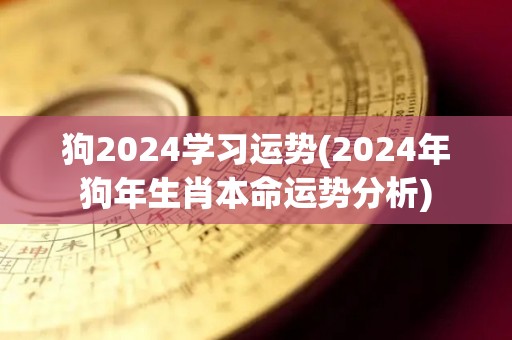 狗2024学习运势(2024年狗年生肖本命运势分析)