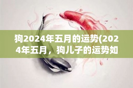 狗2024年五月的运势(2024年五月，狗儿子的运势如何？)