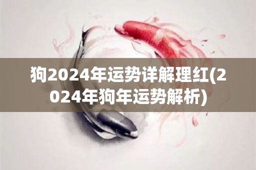狗2024年运势详解理红(2024年狗年运势解析)