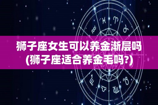 狮子座女生可以养金渐层吗(狮子座适合养金毛吗?)