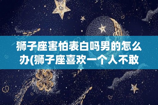 狮子座害怕表白吗男的怎么办(狮子座喜欢一个人不敢表白)