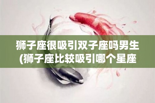 狮子座很吸引双子座吗男生(狮子座比较吸引哪个星座)