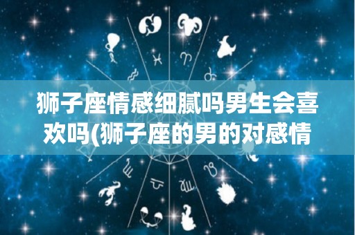 狮子座情感细腻吗男生会喜欢吗(狮子座的男的对感情是什么样子的)
