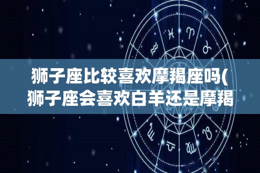 狮子座比较喜欢摩羯座吗(狮子座会喜欢白羊还是摩羯)