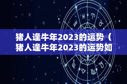猪人逢牛年2023的运势（猪人逢牛年2023的运势如何）
