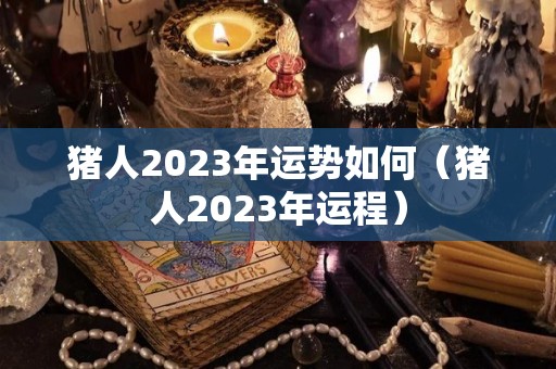 猪人2023年运势如何（猪人2023年运程）