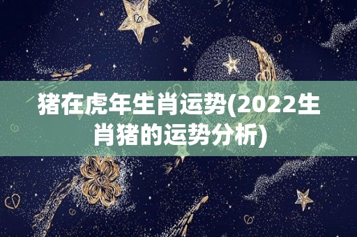 猪在虎年生肖运势(2022生肖猪的运势分析)