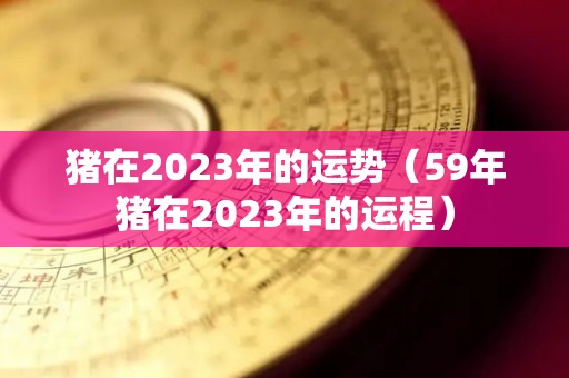 猪在2023年的运势（59年猪在2023年的运程）