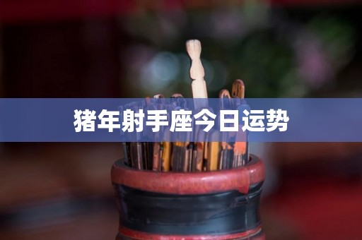 猪年射手座今日运势