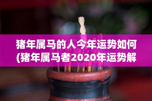 猪年属马的人今年运势如何(猪年属马者2020年运势解析！)