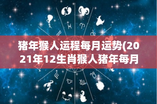 猪年猴人运程每月运势(2021年12生肖猴人猪年每月运势预测)