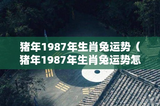 猪年1987年生肖兔运势（猪年1987年生肖兔运势怎么样）
