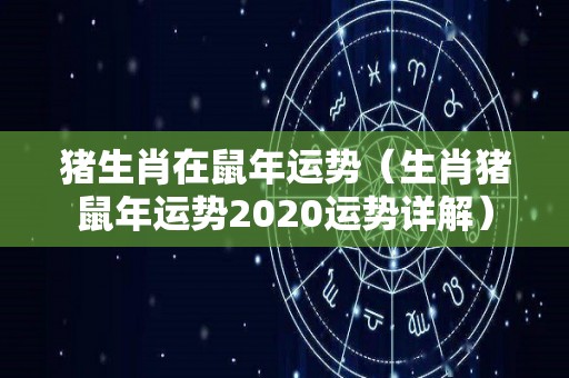 猪生肖在鼠年运势（生肖猪鼠年运势2020运势详解）