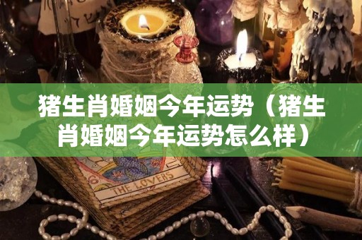 猪生肖婚姻今年运势（猪生肖婚姻今年运势怎么样）
