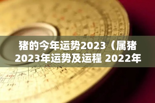猪的今年运势2023（属猪2023年运势及运程 2022年属猪人的全年每月运势）