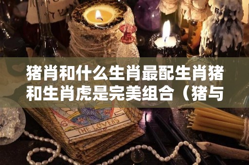 猪肖和什么生肖最配生肖猪和生肖虎是完美组合（猪与什么生肖合）
