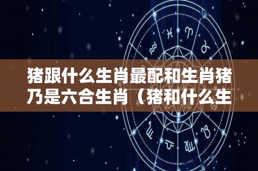 猪跟什么生肖最配和生肖猪乃是六合生肖（猪和什么生肖相配婚姻如何）
